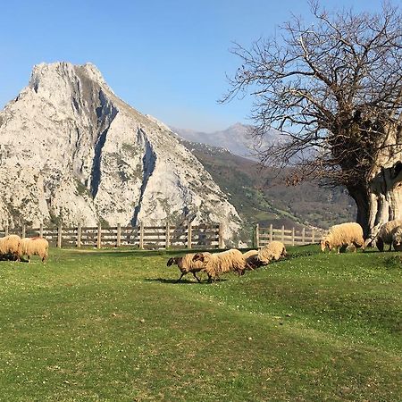 Hotel Casa Leny La Vega  Zewnętrze zdjęcie