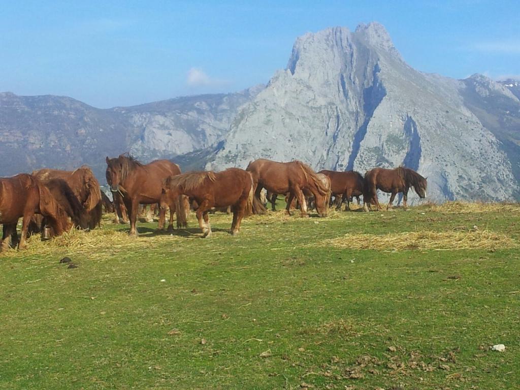 Hotel Casa Leny La Vega  Zewnętrze zdjęcie